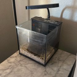 Small Fish Tank 