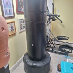 Wave MASTER Punching Bag