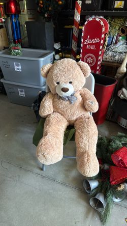 Free large teddy bear must take today