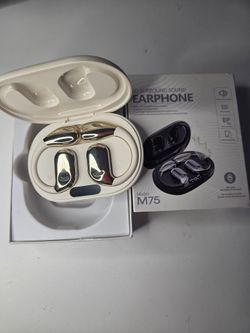 Multifunctional earphones. Translation and music