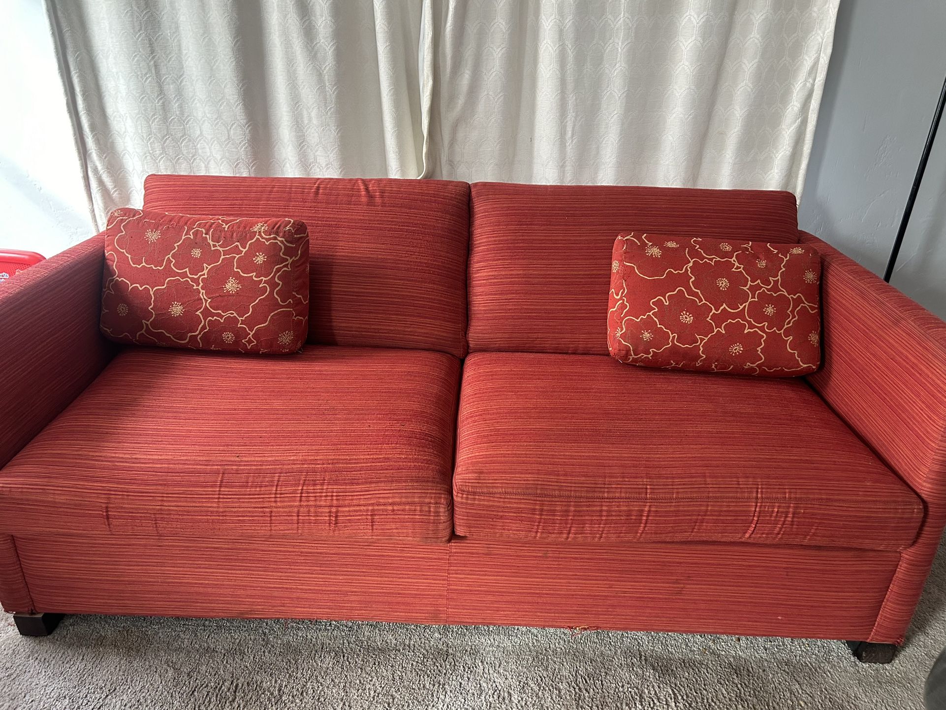 Sofa w/pull out bed
