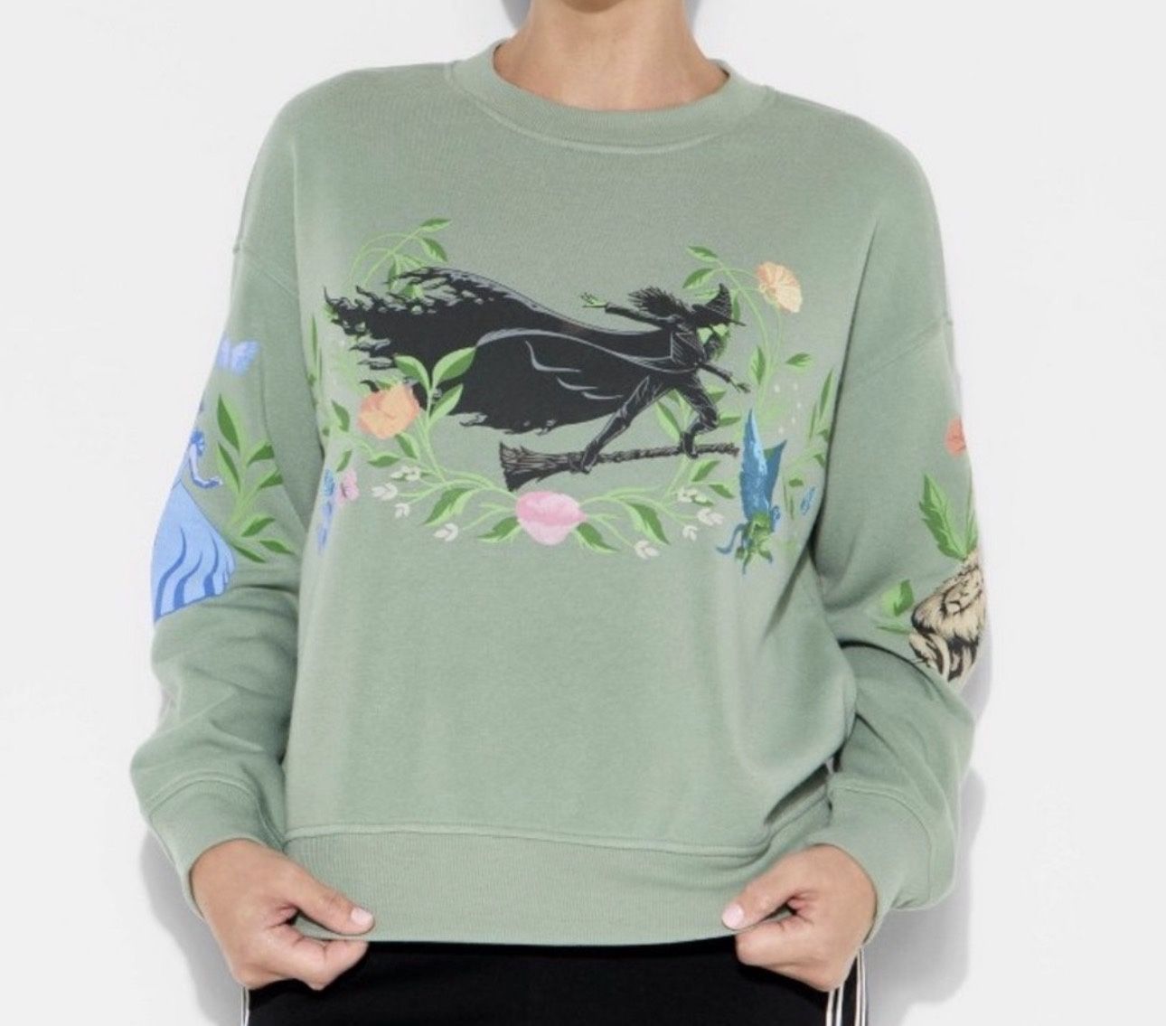 Women's Extra Small Wicked: For Good Fleece Graphic Sweatshirt Sage Green NWT XS And Other Sizes
