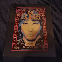 The Doors  Frame 11 in x 14 inch GLASS NEW 
