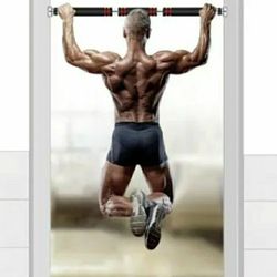 Pull Up Bar