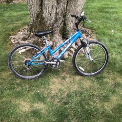24” Schwinn Mountain Bike