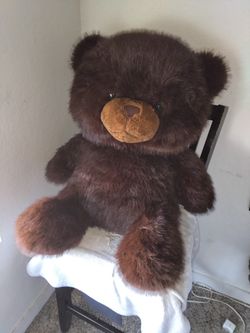 Brown Teddy Bear 🧸