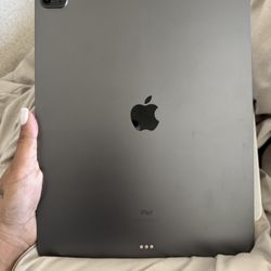 iPad Pro 5th Generation With Apple Pencil 