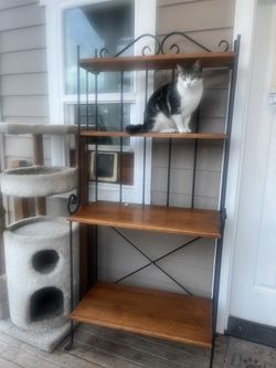 Shelf 