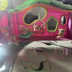 Pet shop house
