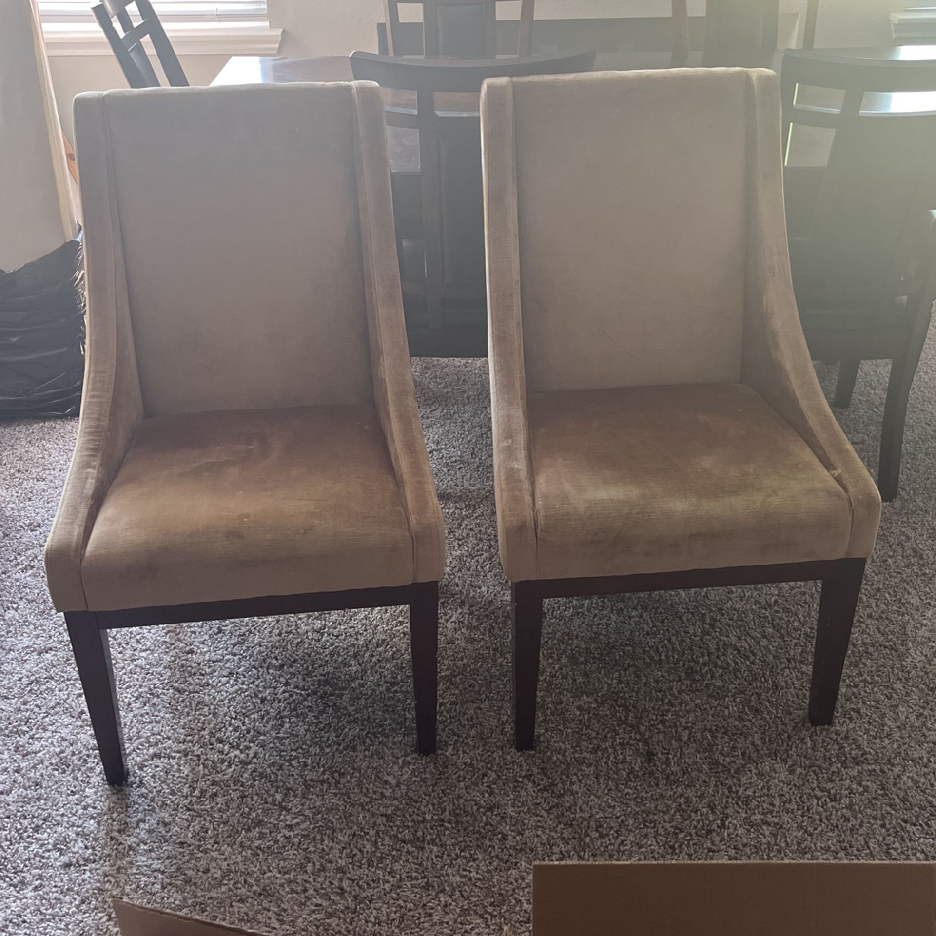 Velvet Beige/brown Chairs