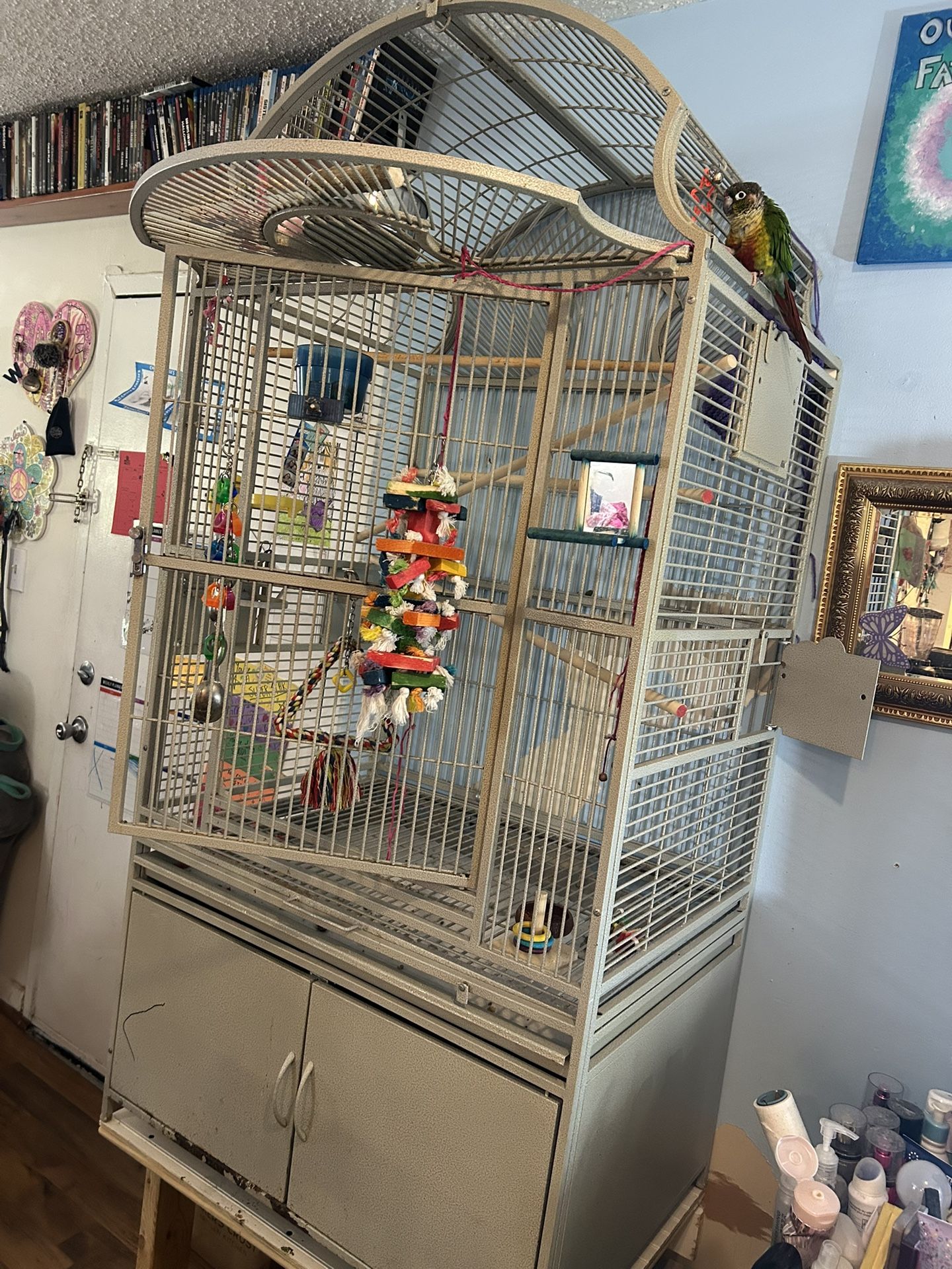 Large Bird Cage