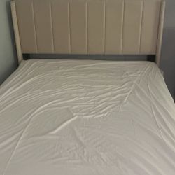 Velvet Beige Bed Frame Size Full