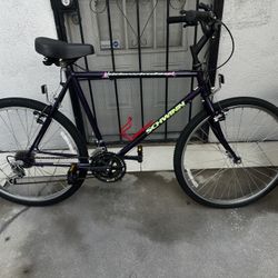 1994 Vintage Schwinn  Sidewinder  Mountain Bike