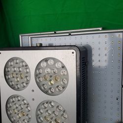 Plant Grow Lights. Lighthouse Hydro And Other LED