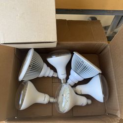 BLACKLIGHT LED BULBS