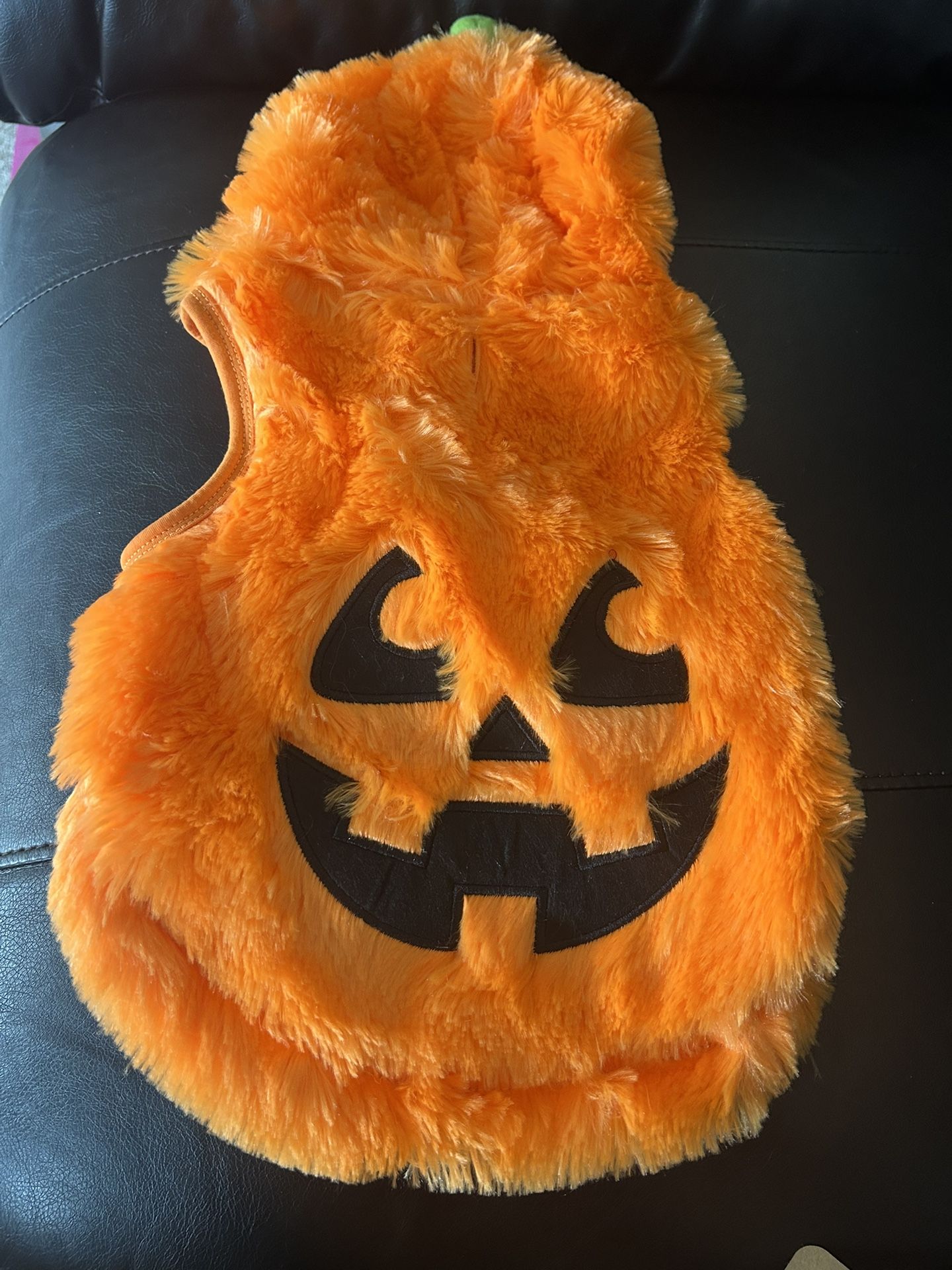 Pumpkin Costume For Small Puppy 