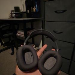 Apple Headphones 