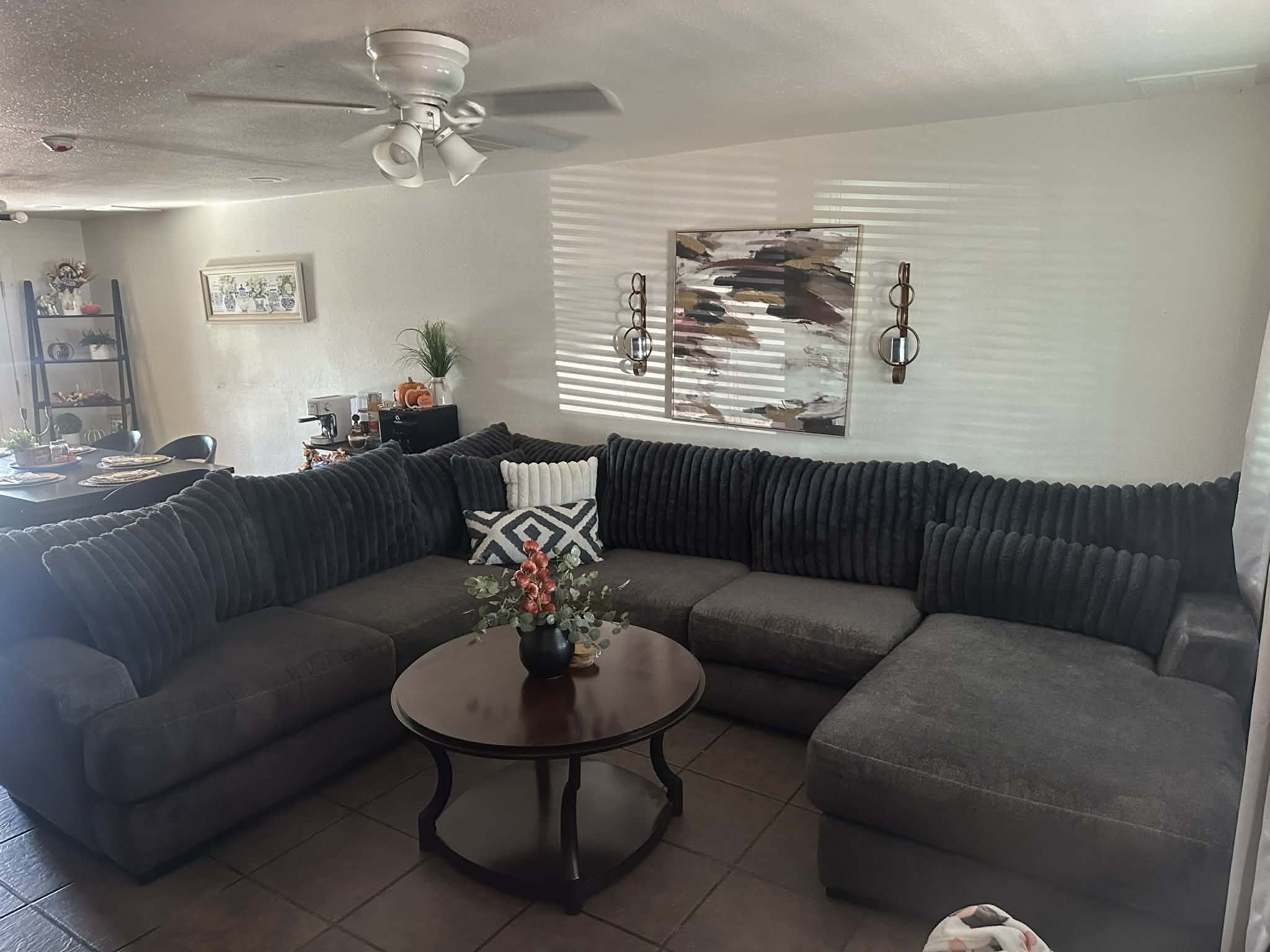 Grey Sectional Couch