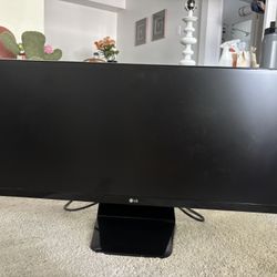 Large Computer Monitor 