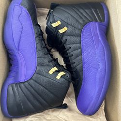 Jordan Court Purple 12