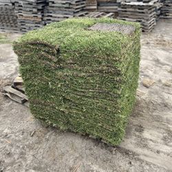 St Agustine/bermuda/zoysia Pallets ( $245