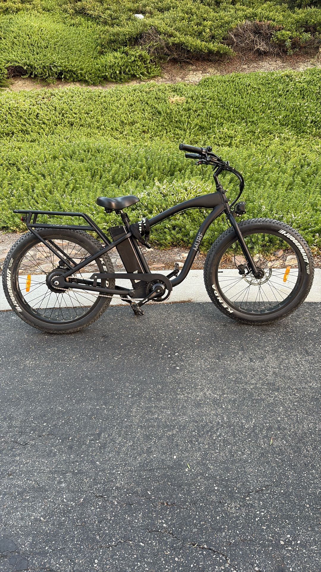 Alpha murf ebike