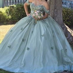 Quinceañera Dress Sage Green