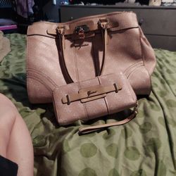 Guess Purse and Wallet Set Pink