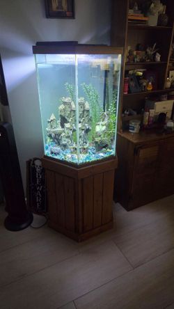 Hexagonal Fish Tank Aquarium with Wood Stand