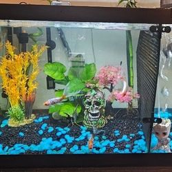 Fish Tank And Stand