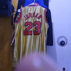 Jordan #23 Jersey 