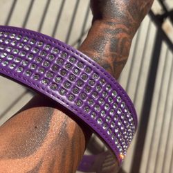 26 Inch Bling Dog Collar 