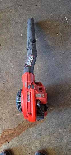 Echo 2-Stroke blower