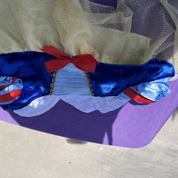 Dog snow white costume $3