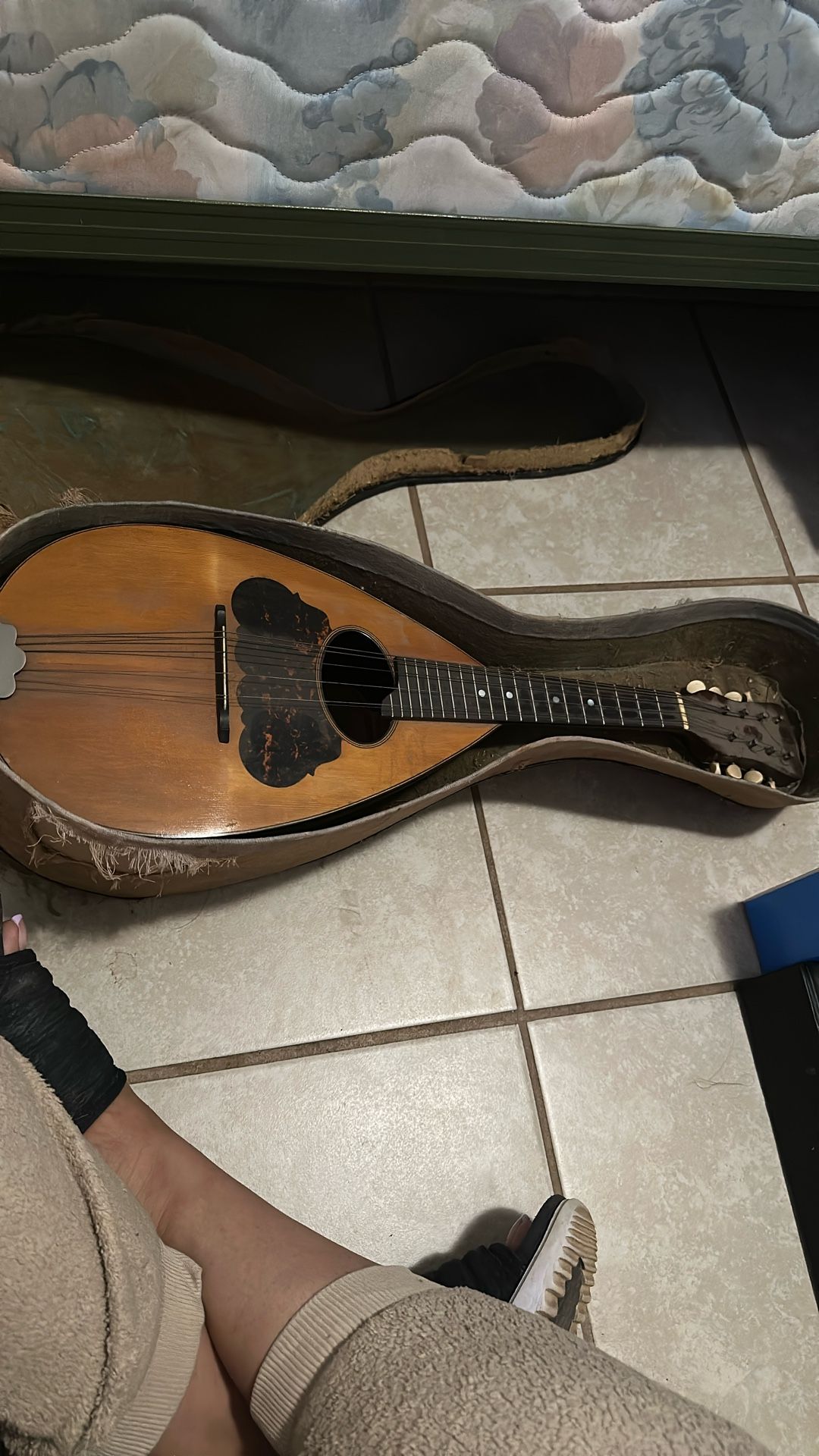 Restored Washburn 1915 mandolin rosewood