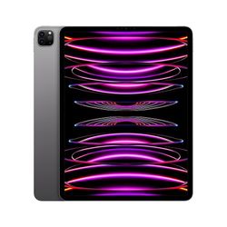 iPad Pro M2 Processor 13 Inch 512gb BUNDLE