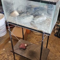 10 Gallon Fish Tank With Stand