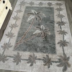 5x7 Area rug 