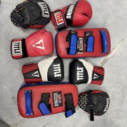 Punching Bag And Accessories