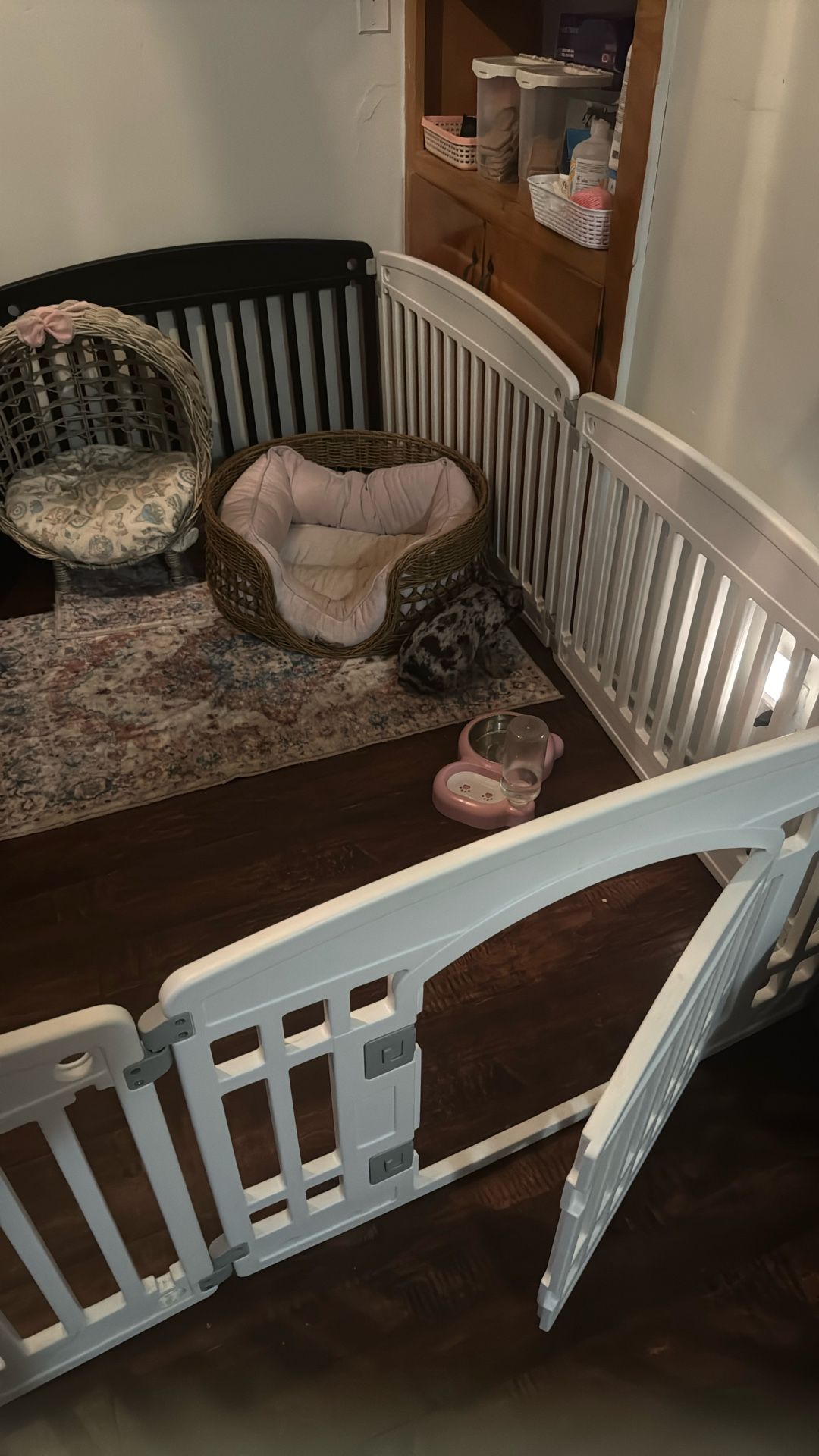 Frenchie Playpen 