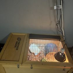 Tortoise House
