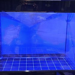 90 Gallon Aquarium 