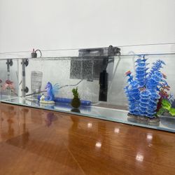 Aquatop 20 Gallon Tank