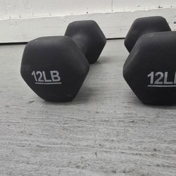 12lb. Free Weight Dumbells