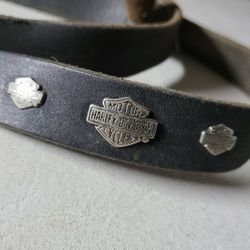 Dog Collar And Leash Lot