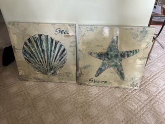 Seashell pictures