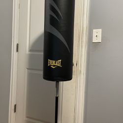 Everlast Training Bag