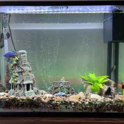 50 Gallon Fish Tank