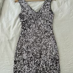 Stretchy Sequin Dress