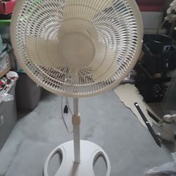 Adjustable Standing Fan Works Like New  In Weeki Wachee Spring Hill